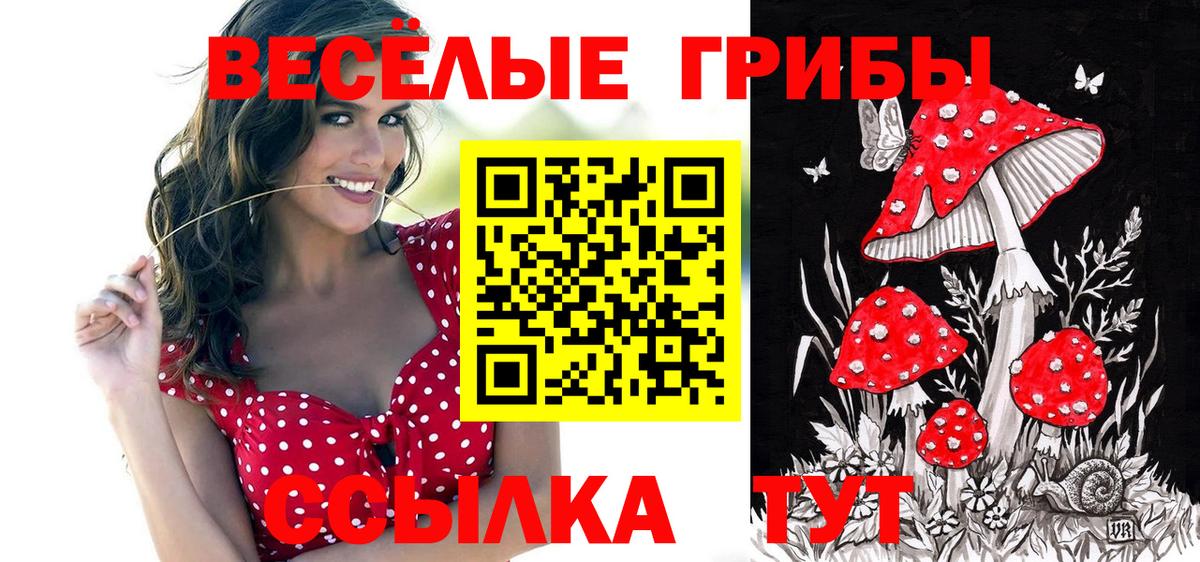 Галлюциногенные грибы Psilocybine cubensis  Вход с VPN  даркнет сайт  Моздок 