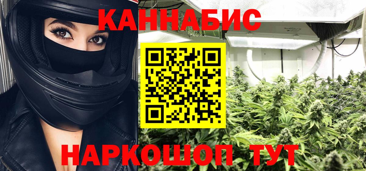 Моздок  Марихуана тримм  Бошки Шишки конопля  Вход с VPN  Шишки марихуана индика 